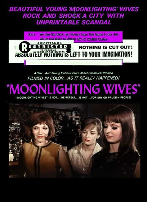 Moonlighting Wives 1966 Joe Sarno Sexploitation Dvd R Dvdrparty