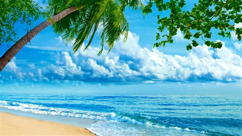 Картинка природа море пальма волны облака фотошоп на рабочий стол x скачать обои