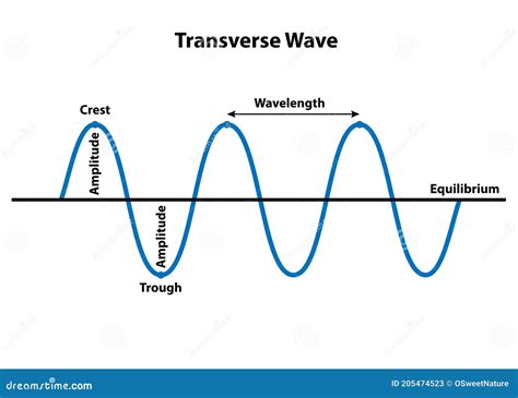 Transverse Wave Properties Of Wavelength Cartoon Vector Cartoondealer