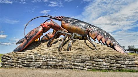 The Worlds Largest Lobster Canadas Giant Crustacean Buyoya