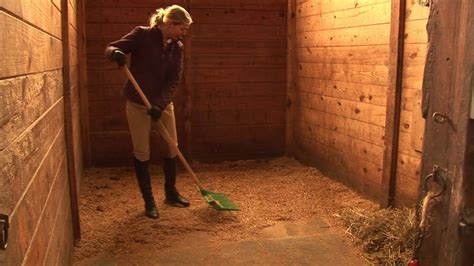Horses Care And Grooming How To Clean Horse Stalls Youtube