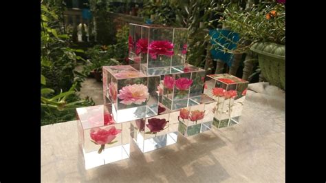 Microwaving will also preserve more colour and freshness than. DIY. Dried Flowers in Resin 🌼| Preserve Flower in Resin ...