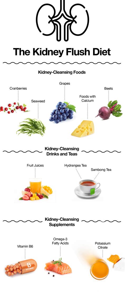 Kidney Flush Diet Natural Ways To Cleanse Your Kidneys The Amino Company
