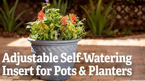 A Closer Look At The Adjustable Self Watering Insert For Pots And