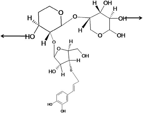 Ferulic Acid Attached To Arabinoxylan Linkage Download Scientific
