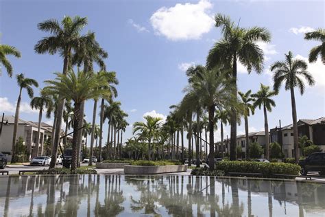 downtown doral doral s mainstreet and city center a place under the palms