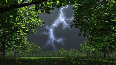 Night Trees Garden Storm Lightning Wallpapers Hd Desktop And