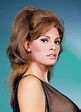 modbeatnik: “Raquel Welch, 1960s ” Hollywood Glamour, Hollywood Stars ...