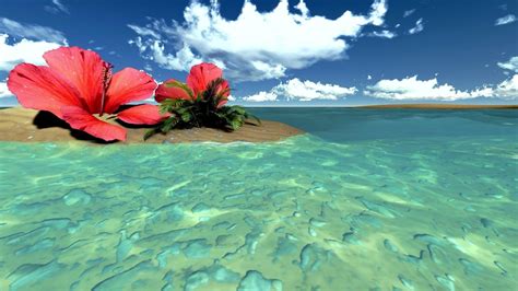 Free Tropical Wallpaper Backgrounds Wallpaper Cave