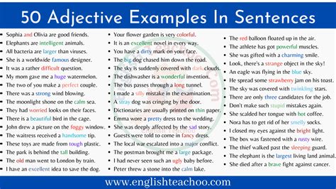 50 Adjective Examples In Sentences Englishteachoo