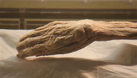 2000 Year Old Living Mummy Of China Lady Dai