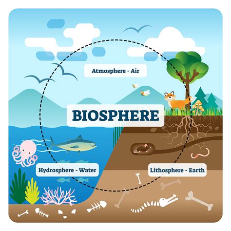 What Is Biodiversity And Why Is It Important WorldAtlas