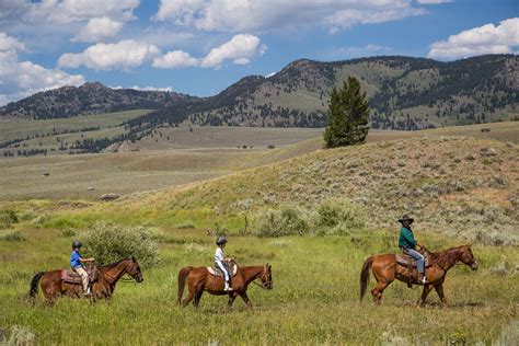 Best Time For Horseback Riding In Yellowstone National Park 2024