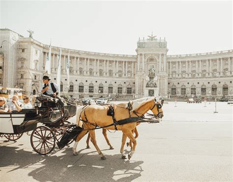 What To Do In Vienna History And Culture Floraqueen En