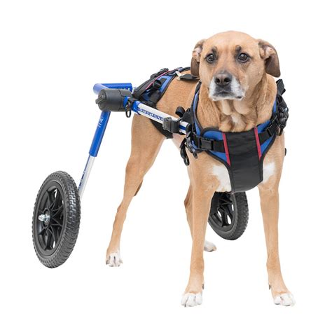 Products For Handicapped And Disabled Pets Supplies Dog Wheelchair