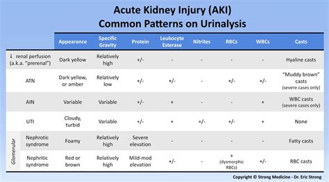 Acute Kidney Injury Aki Common Patterns On Urinalysis Grepmed