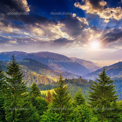 Pine Trees Near Valley In Mountains And Forest On Hillside Under Stock