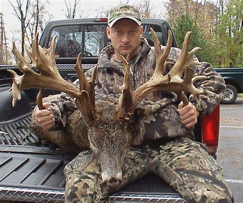 Greene County Deer May Rack Up World Record The Blade