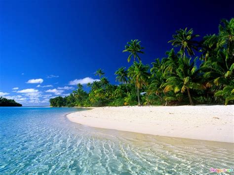 Beautiful Tropical Beach Desktop Beach