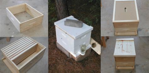 Build A Bee Hive An Illustrated Step By Step Guide