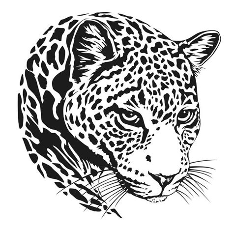 Download Jaguar Head Illustration Vector In Eps Format Headjaguar
