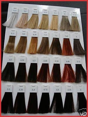 L Oreal Inoa Hair Color Chart In Loreal Hair Color Hair Color