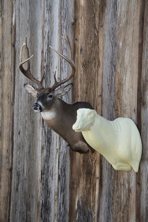 Home Mears Whitetail Forms