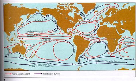 The circulation of deep water is mostly controlled by water flowing in from the atlantic ocean, the red sea, and antarctic currents. Water in The Oceans PHY313