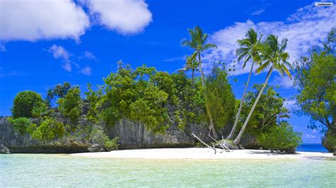 70 Tropical Island Background Wallpapersafari