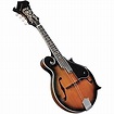 Amazon.com: Savannah SF-100 F-Model Mandolin, Sunburst: Musical Instruments