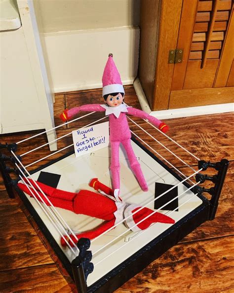 Boxing Elves Elf Fun Awesome Elf On The Shelf Ideas Elf On The Self