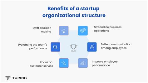 Build A Tech Startup Team Structure Everything You Need To Know