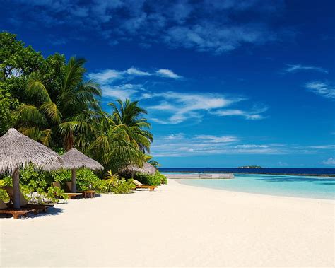 2k Free Download Tropical Maldives Beach Coast Island Palms Sand