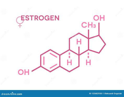 Fórmula Molecular De Las Hormonas Del Estrógeno Símbolo De La Hormona De Sexo Ilustración Del
