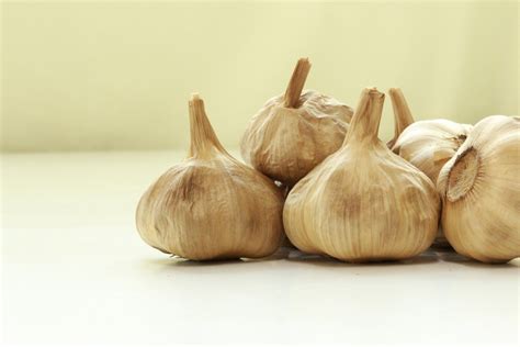 Aged Garlic Extract | Zoolies