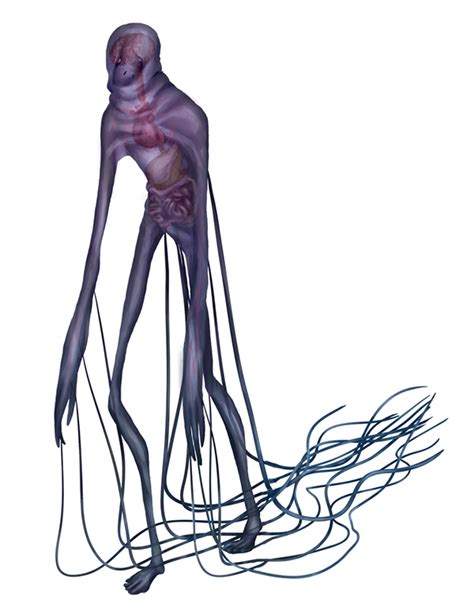 Download Full Resolution Of Box Jellyfish Png File Png Mart