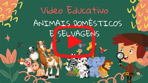 Blog Profissão Professor Plano de aula Animais Domésticos para