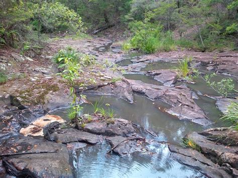 Rocky Creek Circuit Aussie Bushwalking