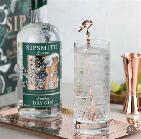 World Gin Day Special With Beam Suntorys Sipmsith And Roku Gin Hotelier India