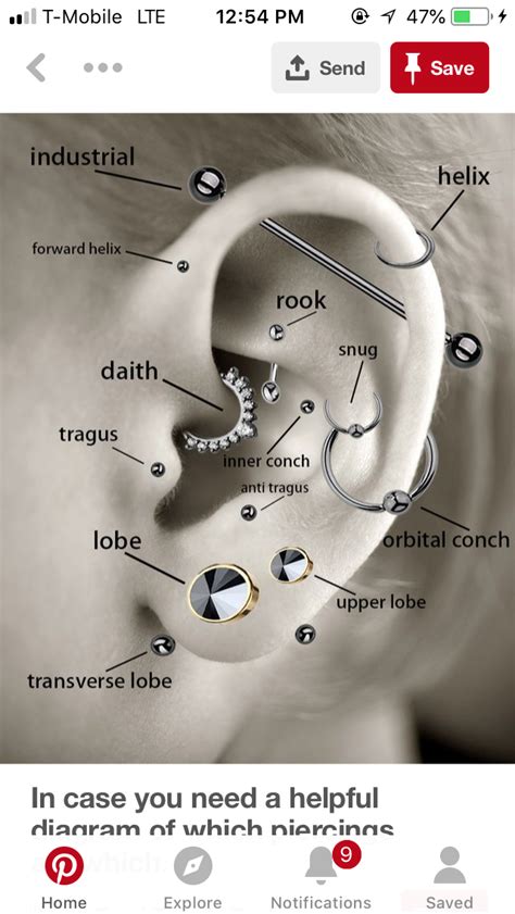 Pin By Aram On Piercing Ear Piercing Diagram Ear Piercings Cool Ear