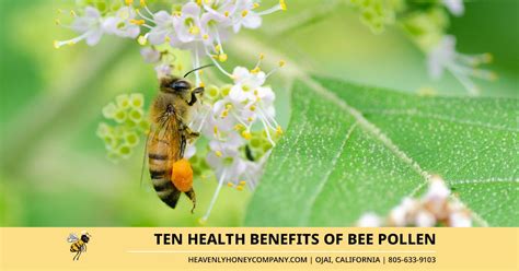 10 Health Benefits Of Bee Pollen Heavenly Honey