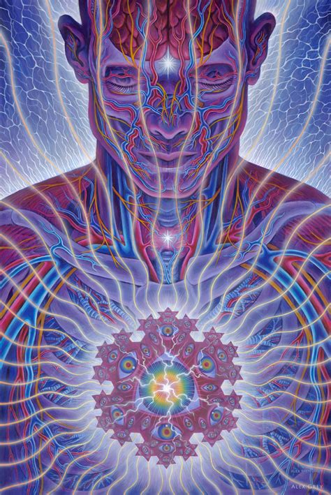 dissectional art for tool s lateralus cd by alex grey