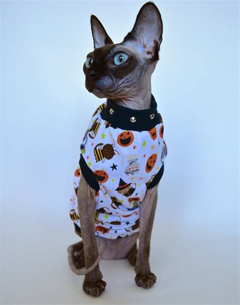 Sphynx Cat Clothing Halloween Costume Cat Costume Style Cat