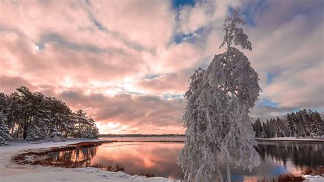 Winter Sunrise Over The Lake Wallpaper Backiee