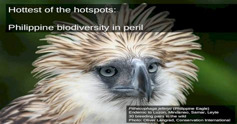 Hottest Of The Hotspots Philippine Biodiversity In Peril Pithecophaga