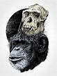 Paul Jackson www.pjartist.com | Macacos, Desenhos, Tatoo