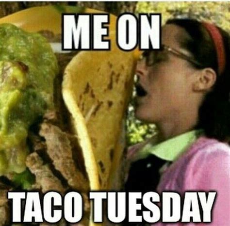 Taco Tuesday Taco Tuesday Tacos Taco Humor