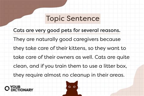 Examples Of Topic Sentences That Make The Purpose Clear Yourdictionary