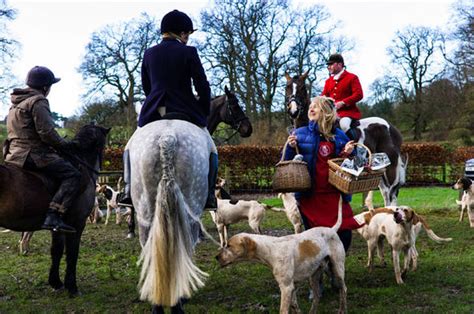 Mp Tracey Crouch Kickes Fox Hunting Into The Long Grass Nature News