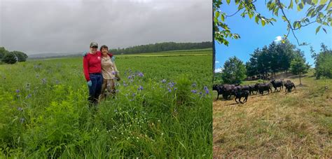 Know Your Farmer Wheatfield Hill Organics Real Organic Project